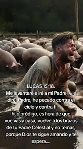 images (10).jpeg