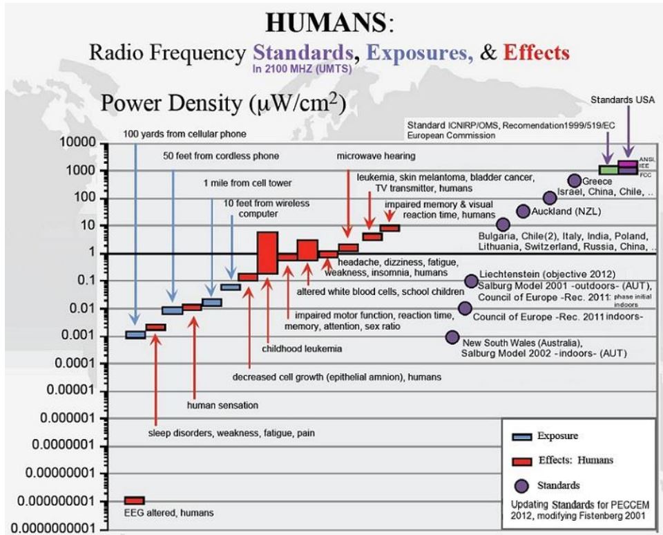 efctos radiación en humanos.JPG