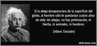 ABEJAS y Einstein.jpeg
