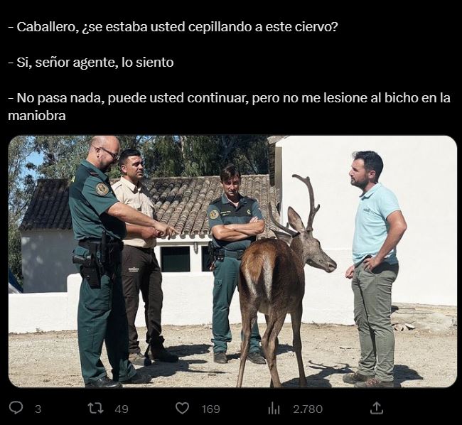 bienestar animal.JPG